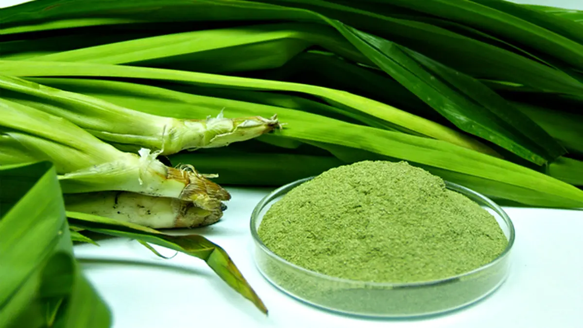 7 Manfaat Daun Pandan untuk Kulit Sehat dan Cantik Secara Alami