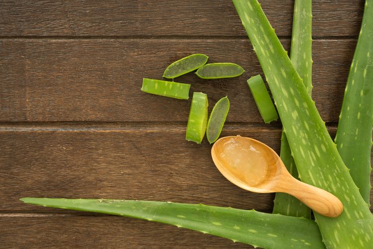Rahasia Kulit Glowing dari Alam: 5 Tanaman Obat dengan Manfaat Kecantikan Kulit